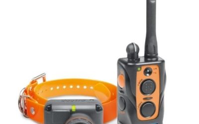 Beeper și Zgarda Dresaj Dogtra 2600TB – Control Eficient pentru Câini