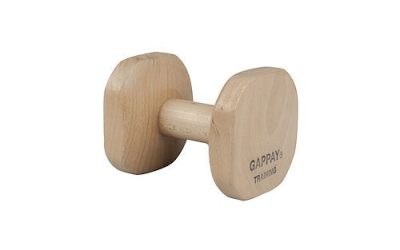 Butucel aport Gappay 0,65kg | Accesorii dresaj canin