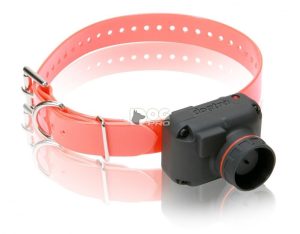Dogtra STB-Hawk - Beeper frecventa joasa, | Zgarzi vanatoare