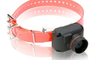 Dogtra STB-Hawk – Zgarda de Vânătoare Inovatoare