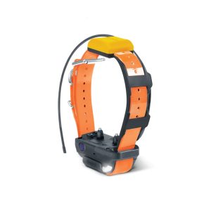 Extra Zgarda Pentru DOGTRA PATHFINDER 2 - Portocaliu, Dogtra | Localizare și dresaj – ofertă, preț și specificații