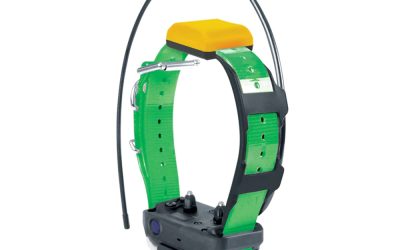 Extra Zgarda Pentru DOGTRA PATHFINDER 2 – Verde | Dogtra