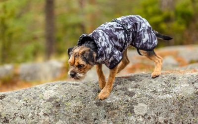 Geaca Rukka BREEZE – Protecție și Stil pentru Câini