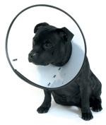 Gulerul inteligent - marimea 5