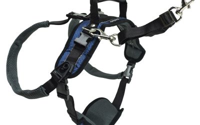 Ham de susținere spate pentru câini PetSafe – L | Confort și Siguranță