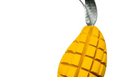 Jucăria Mango Sprenger – Distracție și Stimulare pentru Câini