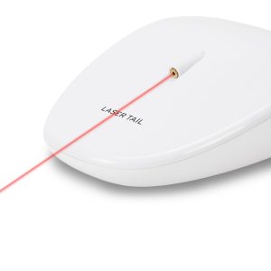 Jucarie pisici PetSafe Laser Tail Light