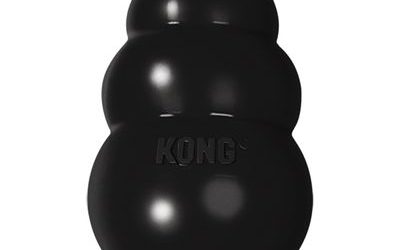 Kong Extreme Jucărie pentru Câini – M | Mingii Ultra-Rezistente