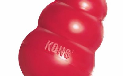 Kong Classic Jucărie pentru Câini – M | Mingii Rezistente