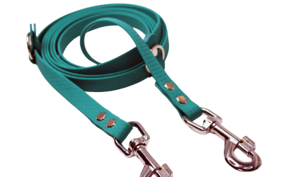 Lesa Hands Free 45kg Pupster – Pastel-Green | Confort și Libertate