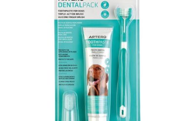 Pachet ingrijire dinti ARTERO Dental Smile | Igiena Orala