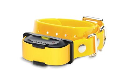 Receptor Suplimentar Dogtra IQ Mini – Galben pentru Dresaj