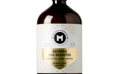 Sampon REFRESH Melanie Newman Salon Essentials – 500 ml