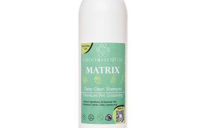 Sampon curatare profunda GROOMSSENTIAL Matrix – 1000 ml
