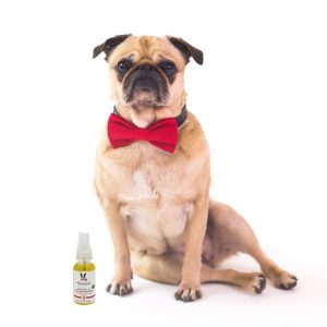 Ulei din seminte de struguri pentru revitalizare labute si nas Warren London