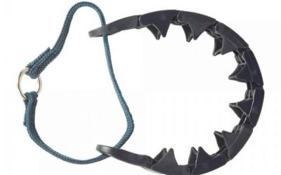 Zgarda Dresaj Câini STARMARK Pro Training – Eficiență și Confort