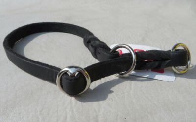 Zgarda corectie piele FWF – confort si control