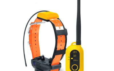 Zgarda electronica Dogtra PATHFINDER 2 – Localizare si Dresaj