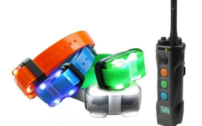 Zgarda electronica Dogtra 4500 EDGE – Dresaj eficient pentru câini