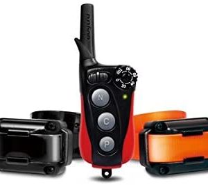 Zgarda electronica pentru dresaj Dogtra iQ Plus - 2 câini