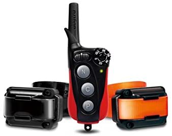 Zgarda electronica pentru dresaj Dogtra iQ Plus - 2 câini