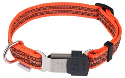 Zgarda Nailon Sprenger Neon Reflectorizantă – Siguranță și Stil