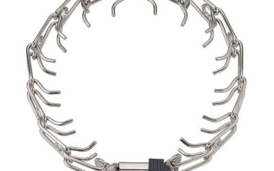 Zgarda din Oțel Inoxidabil Hermann Sprenger – Dresaj Câini