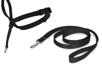 Zgarda tip capastru PetSafe Easy Walk – Control și Confort